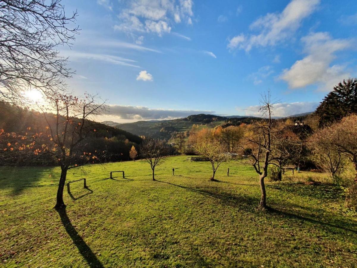 Útulný apartmán v srdci Krkonoš Jablonec nad Jizerou Exteriér fotografie