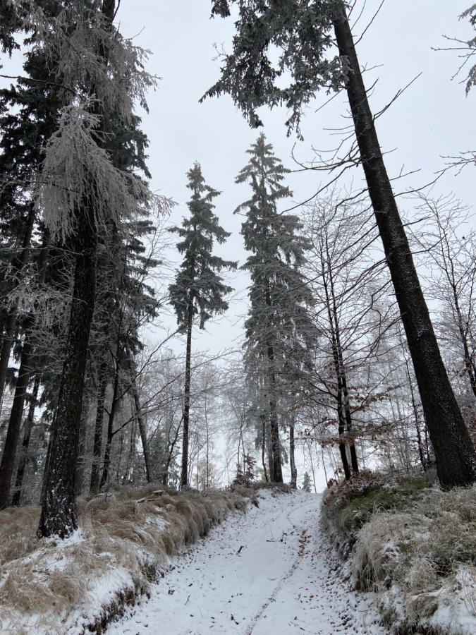 Útulný apartmán v srdci Krkonoš Jablonec nad Jizerou Exteriér fotografie