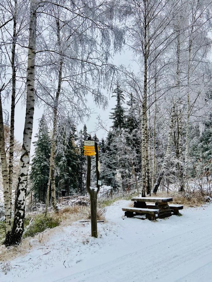 Útulný apartmán v srdci Krkonoš Jablonec nad Jizerou Exteriér fotografie